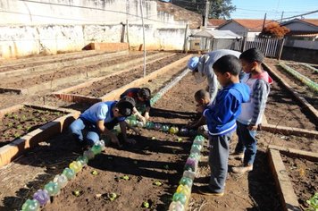 Foto - Horta Educativa 2018