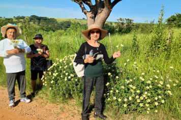 Foto - Caminhada até a Capela no bairro do Mirante com o Grupo de atividades motivacionais Rosa Rubra e Vida em Forma de Nova Columbia ! 