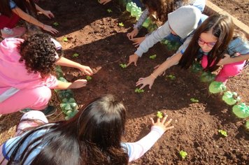 Foto - Horta Educativa 2018