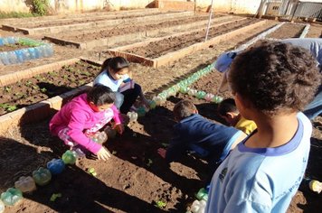 Foto - Horta Educativa 2018