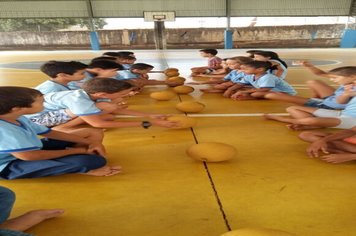 Foto - Educação física é saúde!