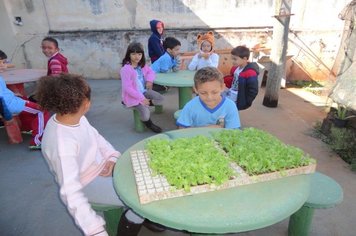 Foto - Horta Educativa 2018