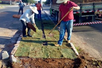 Plantação das gramas no canteiro central da avenida monsenhor manuel Peres descamp's