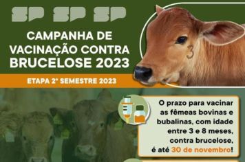 Atenção!!! Pecuaristas, Vacinem seus gados contra a Brucelose e Febre Aftosa. Prefeitura De Ocauçu