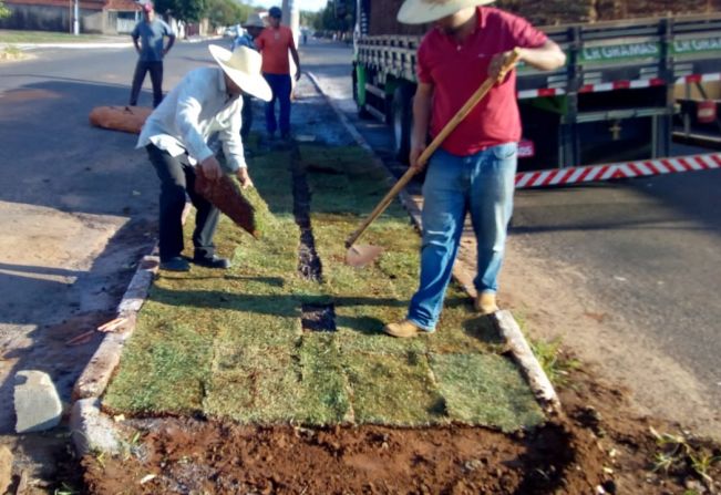 Plantação das gramas no canteiro central da avenida monsenhor manuel Peres descamp's